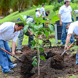 Collective social impact campaigns