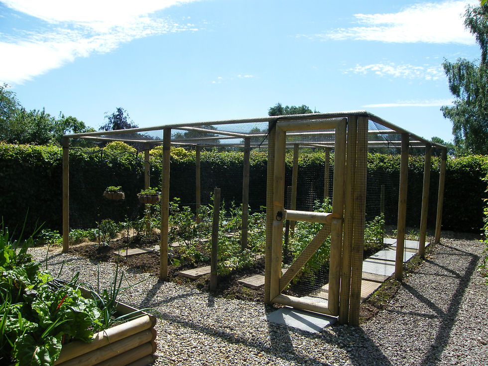 Fruit Cage