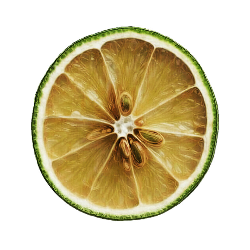 Dehydrated Lime Wheel