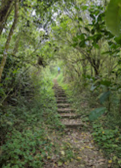 Hiking Trial