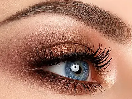 Eyebrow-Shape-and-Tint.jpg.webp