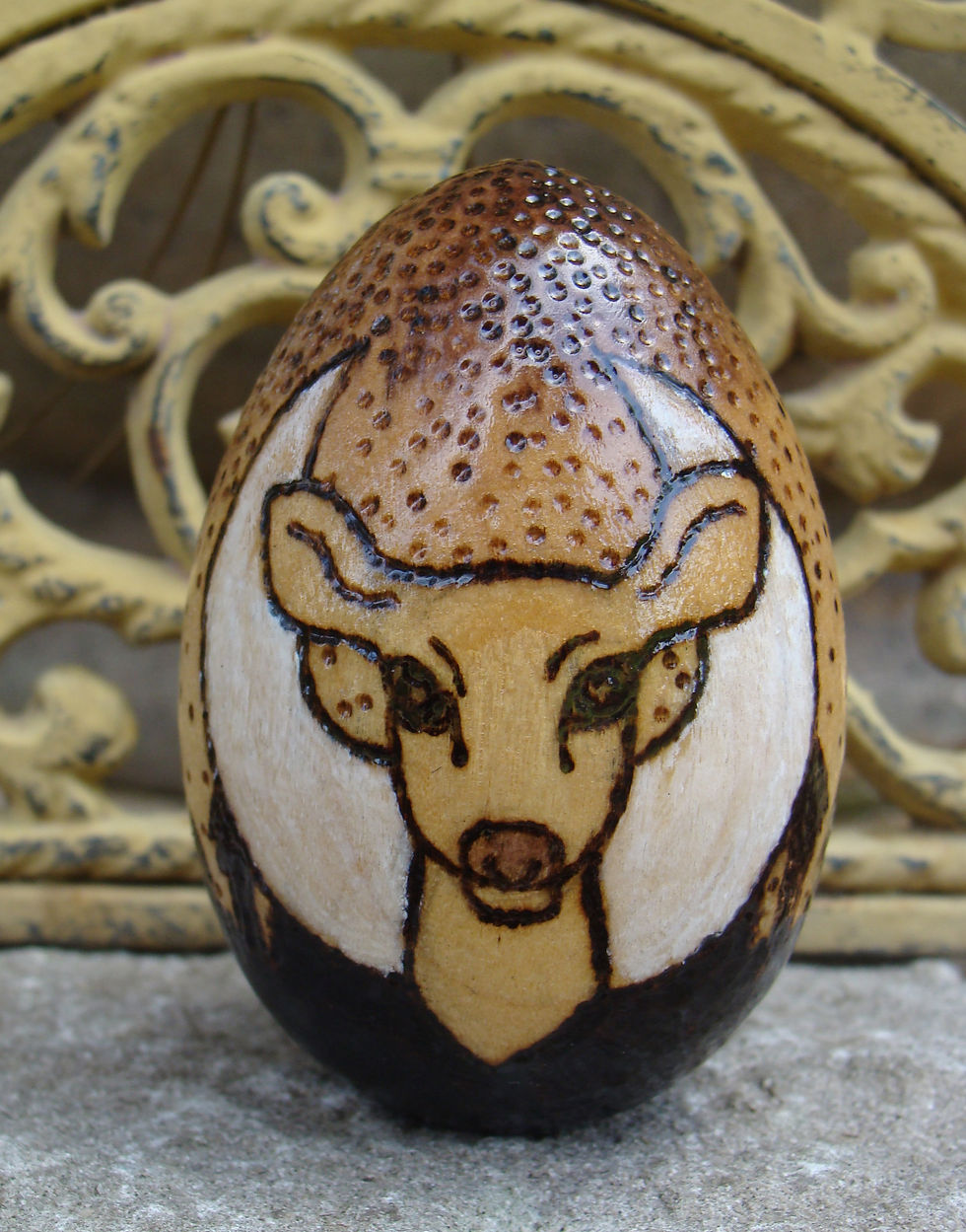 Deer Egg