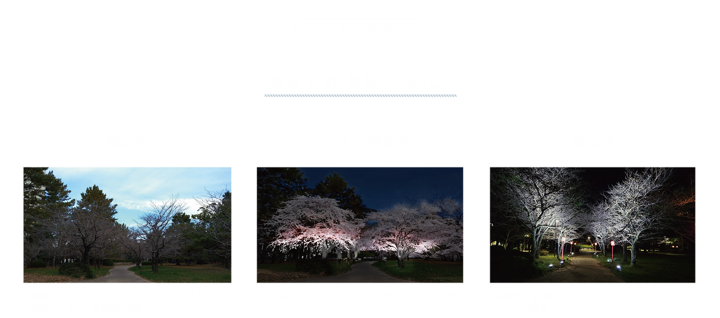 事例3.png