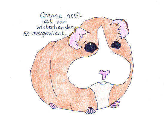 Ozanne