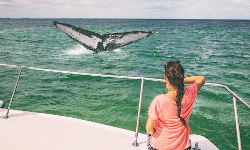 Private Boat Tour for Families