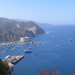 Top Reasons Nature Lovers Should Visit Catalina Island by Boat
