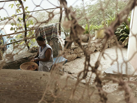 Meaningful Travel, a meaningful way forward...