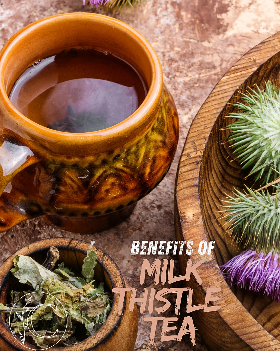 The Hidden Benefits of Milk Thistle Tea
