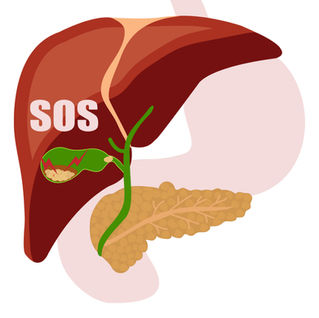 Life After Gallbladder Removal: Why Digestive Enzymes Matter More Than You Think