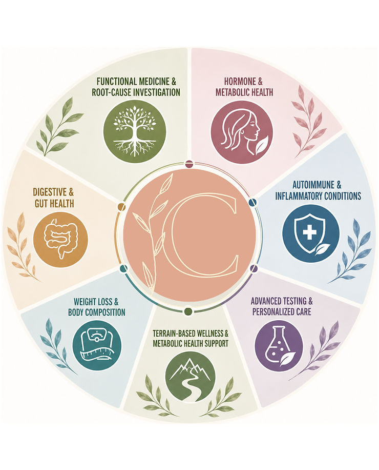 clark wellness wheel.png