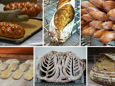 Screen Shot 2021-02-18 at 1.27.06 PM.png