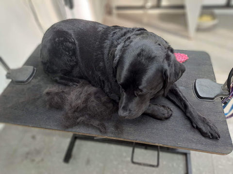 Photo 02-02-2023, 18 36 27 (1).jpg