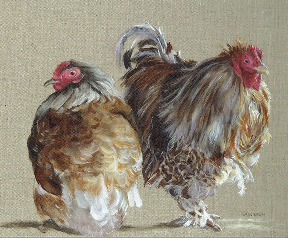 Hens