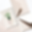 Seed Card 1.png