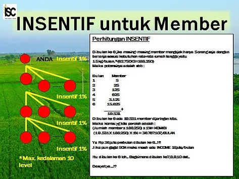 Insentif atau komisi Simulasi besaran dan pertumbuhan komisi yang diterima oleh member jika sistem berjalan dengan benar