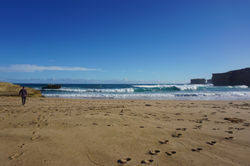 ocean view (ft. Brett)