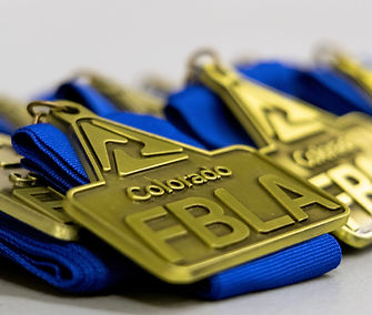 Colorado FBLA Medals