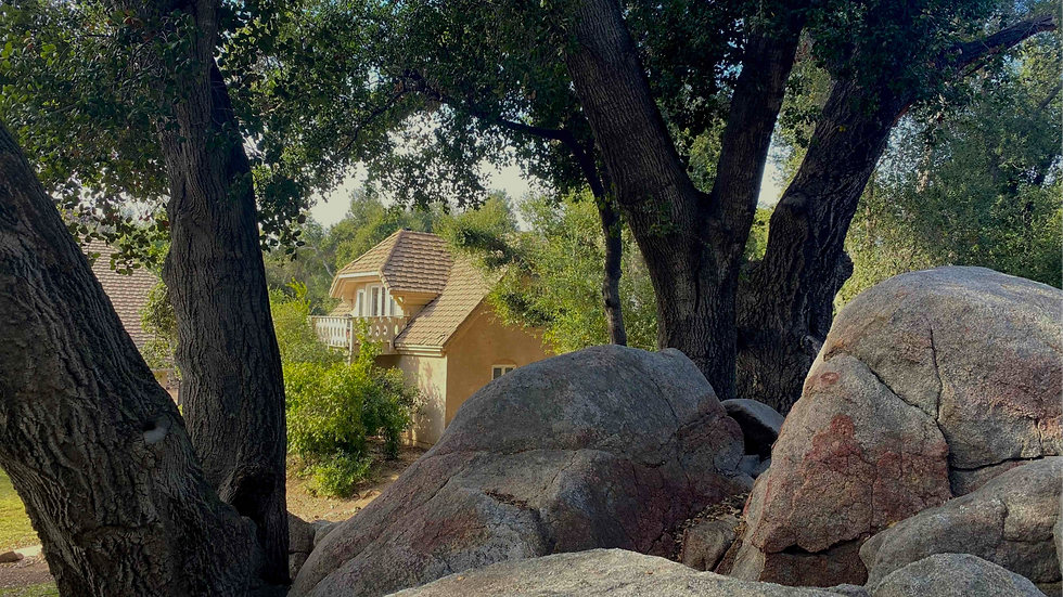 Magical & Romantic Merlin's Nest thru forest.jpg