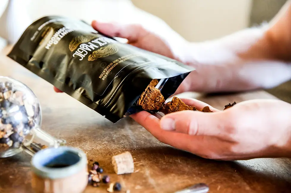 Thumbnail: SUSTAINABLY WILD HARVESTED CHAGA MUSHROOM TEA