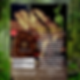 Thumbnail: Aya Calm from GURiJi