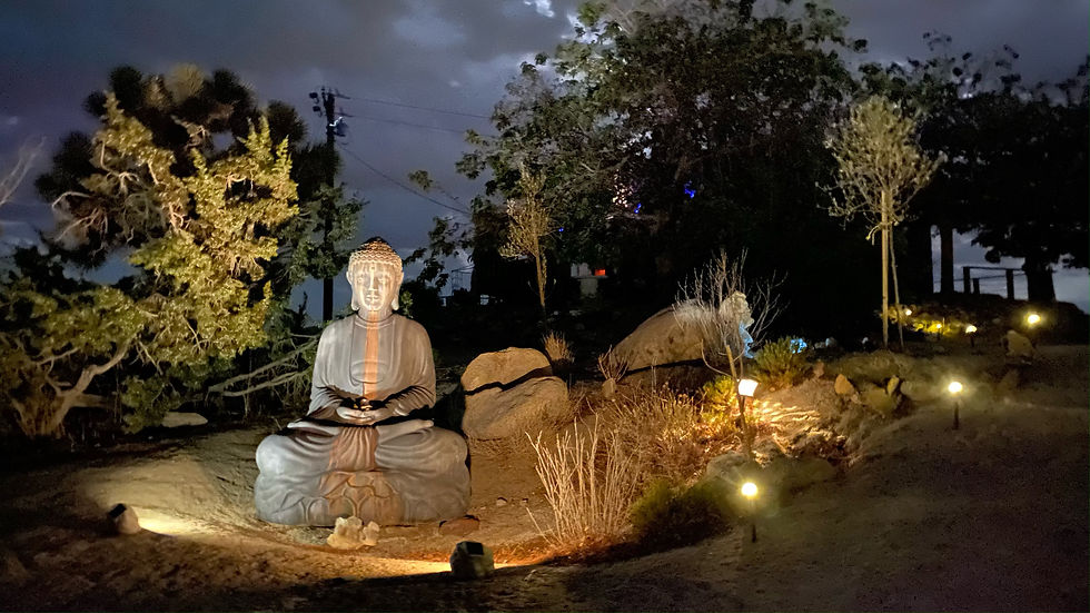 The Hidden Benefits of Daily Meditation for Mental Clarity as part of the Stillness and Sensory 5 day retreat at BeingLoveSanctuary, Joshua Tree, California.