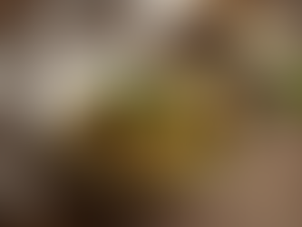 Bord met pasta pesto en kippenballetjes, afgewerkt met verse basilicum, pistachenoten en olijfolie op houten tafel in zacht daglicht.