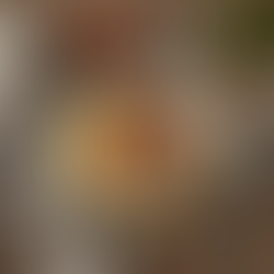 Plakjes varkenshaasje met romige pastinaakpuree, gepofte kerstomaatjes en gebakken ui in zacht daglicht op witte schaal.