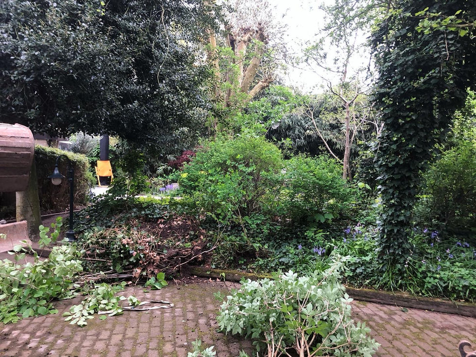 Opkuisen en snoeien beplantingsvak