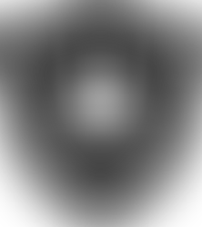 Os nossos guerreiros!