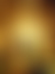 Ter gratidão está associado a menor risco de morte