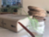 IMG_1642.jpeg