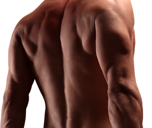 Man's Back for header PNG_edited_edited.png