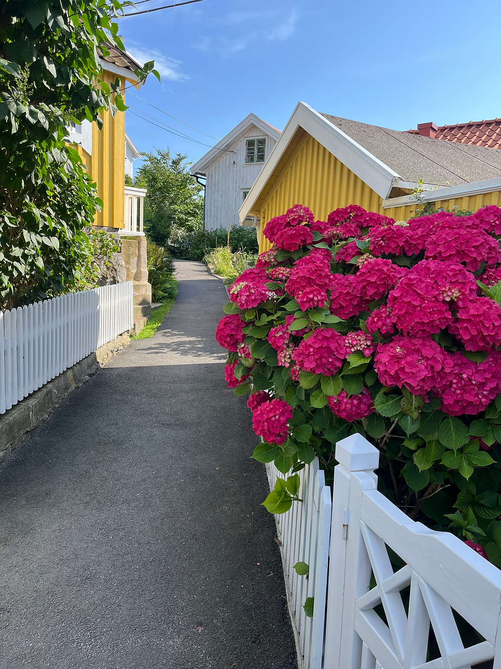 Naturbild Styrsö