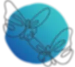 website asset