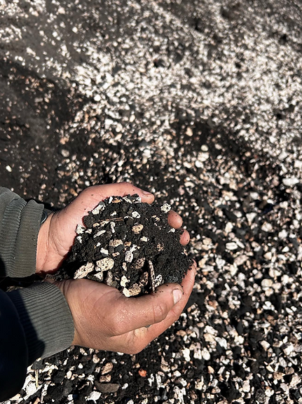 Screenshot 2025-04-16 at 8.12.00 PM.png