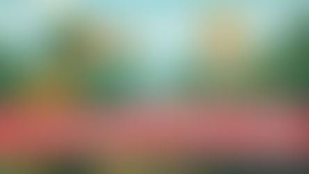 Episode 22 - Planning and Scouting for Photography Trips