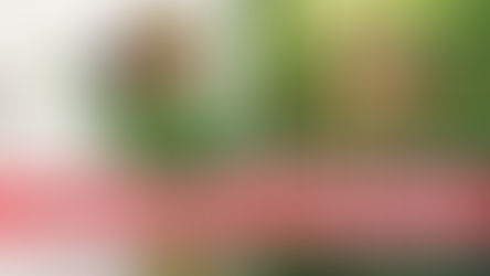 Episode 23 - Minimalism and Maximalism in Nature Photography