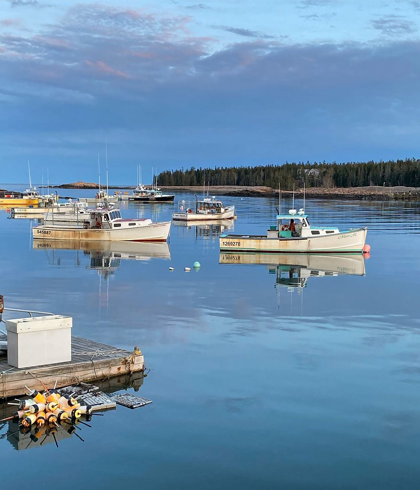 Learning About Careers in the Maine Lobster Industry