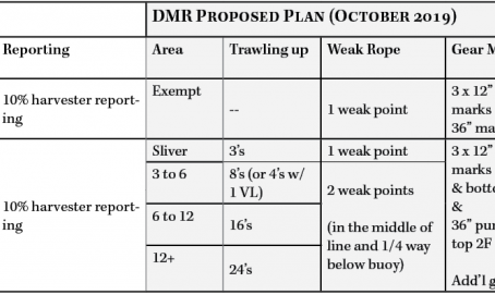 DMR releases right whale risk reduction plan