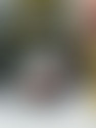 Coastal Outlook - January 2018