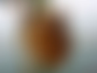 Scallop Fishery Going Strong