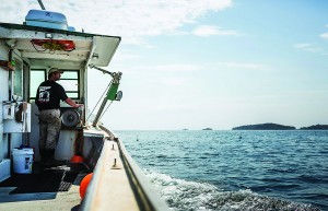 New on-line magazine focuses on Maine lobstering