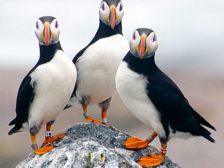 In the News: September 2019