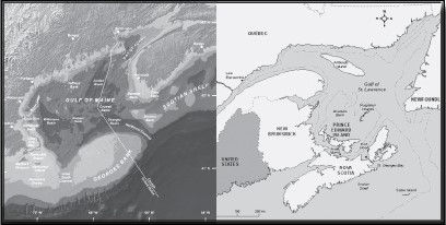 2021 Water Temperatures Break Records in Gulf of Maine, Gulf of St. Lawrence