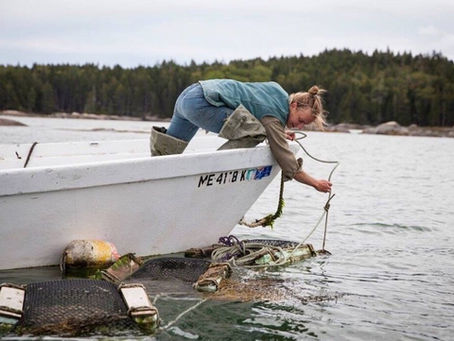 New Type of Buoy Afloat in Maine Waters