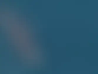 In the News - November 2022