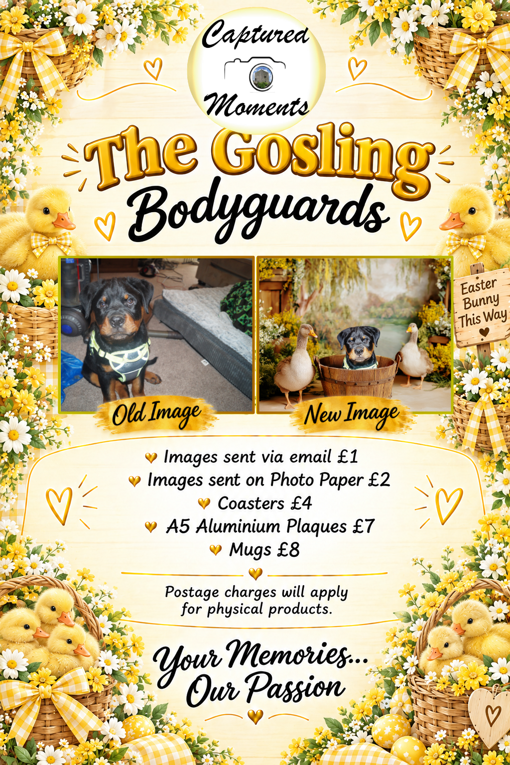The Gosling Bodyguards Photo