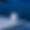 Miniature : Nuit d'ambre