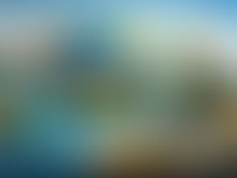 Solve the Plastic Pollution Crisis