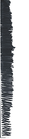 img021_edited_edited.png